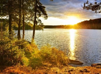 Obituary of Felix Arthur Toedter