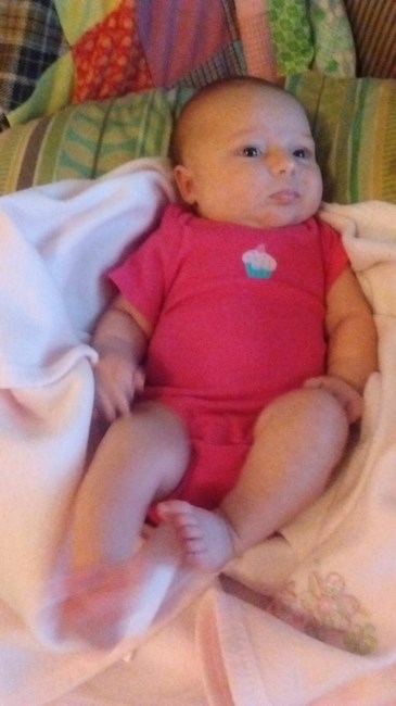 Obituary of Sophia Arianna Grace Loria