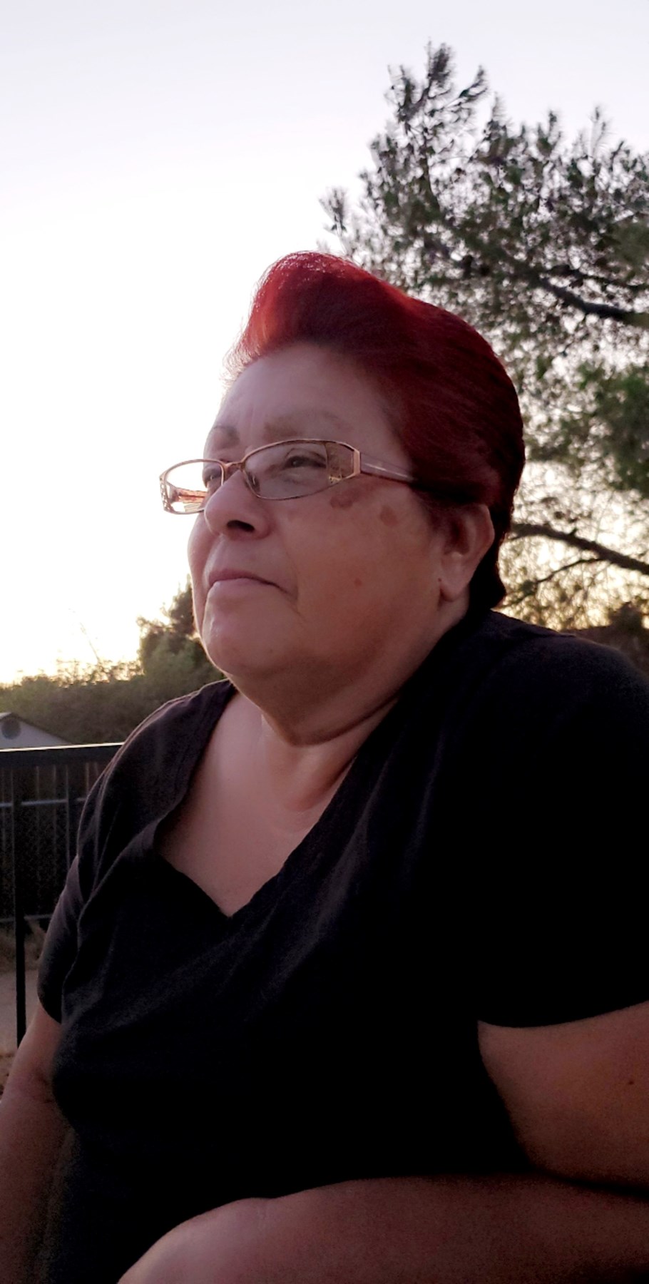 Obituary of Terry Y. Morales