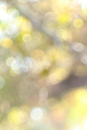 Guillermo Hernandez Ramirez Obituary Westminster, CA