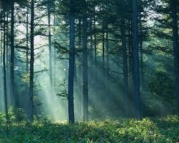 Obituary of James Edward O'Keefe Sr.