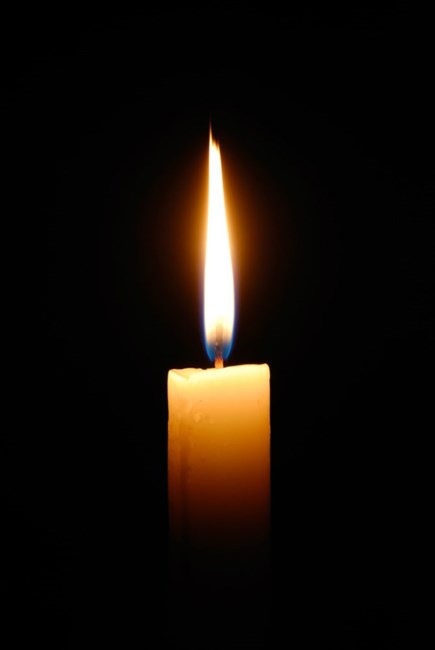 Obituary of Stephen Kamberg