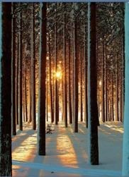 Obituary of Robert Henry Ruffin