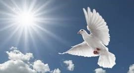 Obituary of Christina Shoulders Corcoran