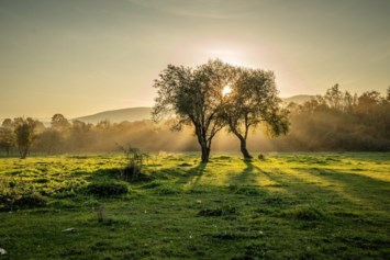 Obituary of Ray J. McDonald