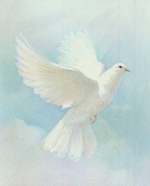 Obituary of Padma Mohan