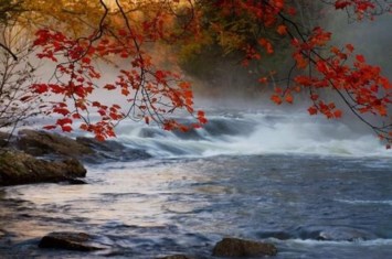 Obituary of Donald M. Jorgensen