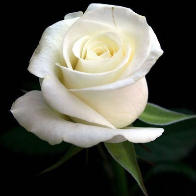 Obituario de Santa Paula Cemetery