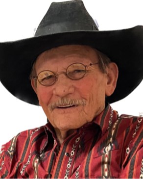 Obituary of David Lee Williams