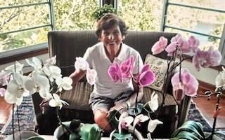 Obituary of Hana Goldstein