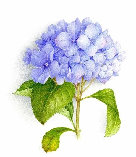 Obituary of Lillie Newman Mae Pitts