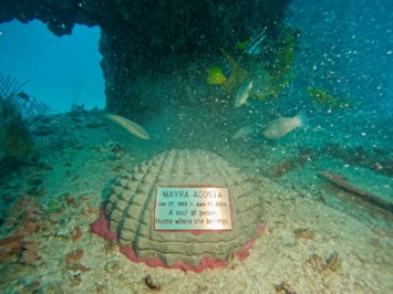 Obituary of Mayra Acosta