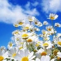 Obituary of Helen Mae Windom