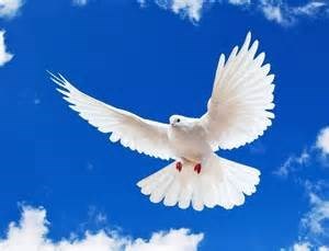 Obituary of Jacquelyn Ann Dowdy