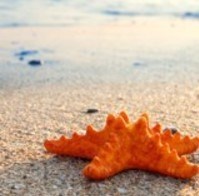 Obituario de Nereida Rodríguez Sella