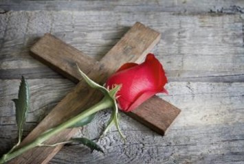 Obituary of Barbara Ann Mapes