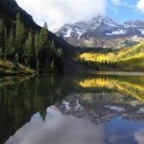 Obituary of William Avery Pitts