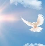 Obituario de Ricardo Guardian Gonzales Sr.