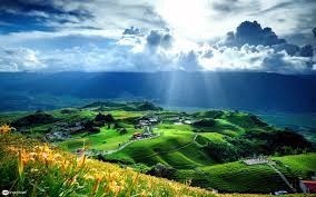 Obituary of Rosa Maria Gutierrez