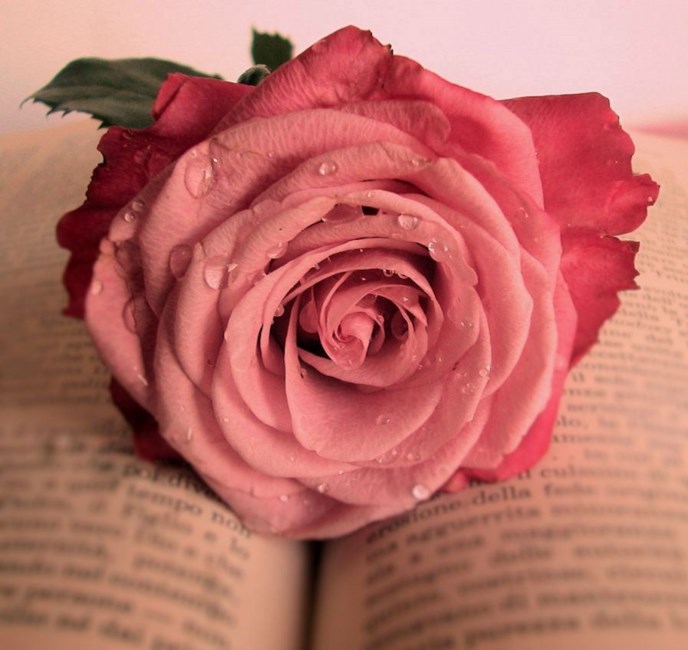 Obituary of Maria De La Asuncion Montoya