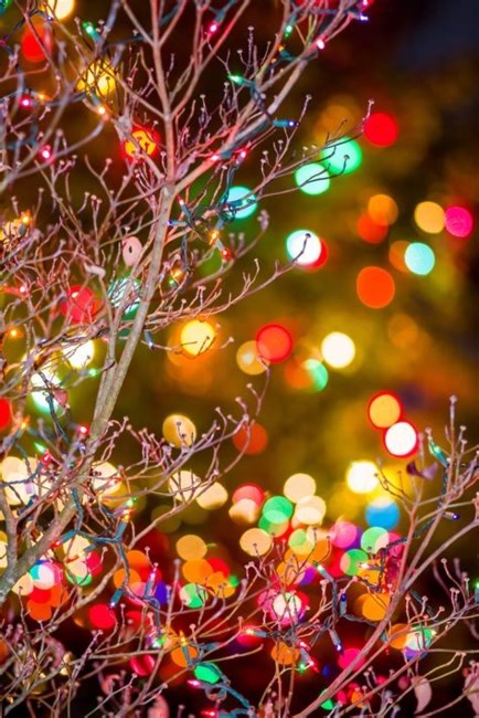 Obituary of John Neal Youmans