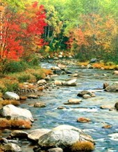 Obituary of Kimberly Cumberledge VanMeter