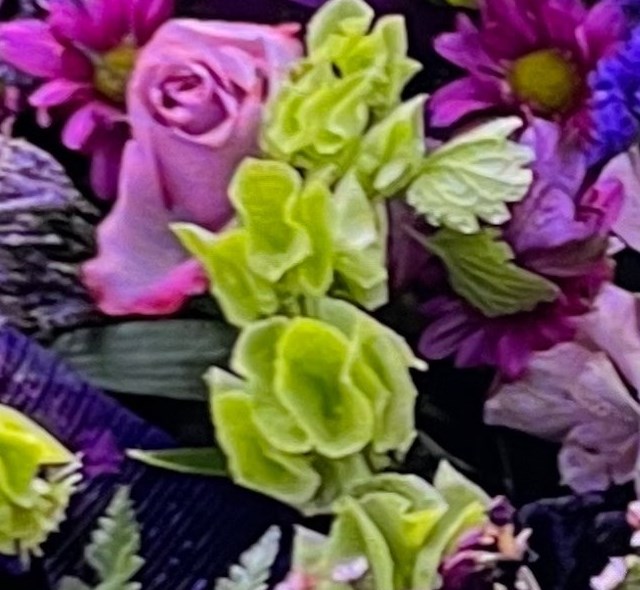 Obituary of Patricia Nevins-Burns