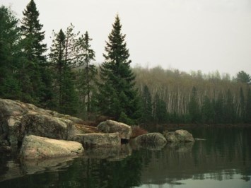 Obituary of Brian Donnelly