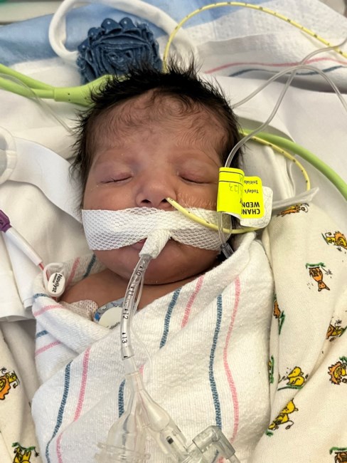 Obituary of Ayla Marie Medina