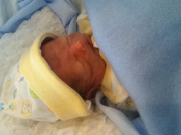 Obituary of Dante Allan Alexander Rudolph