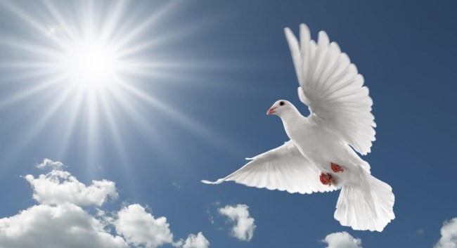 Obituary of Julie A ROBERTSON