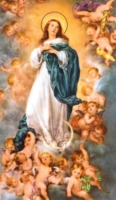 Obituary of Amalia Rosa Deangelo