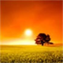 Obituary of David James Heckman