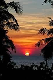 Obituary of Eddie G Vasquez