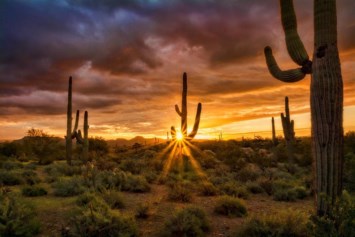 Obituary of Floyd Henry Brillhart Jr.