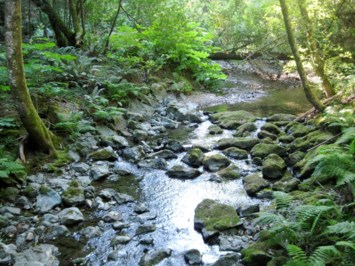 Obituary of Samuel Robert Sherer