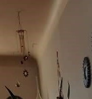 Alan Rice Obituary - Grosse Pointe Woods, MI