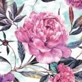 Obituary of Anne Louise MacIsaac