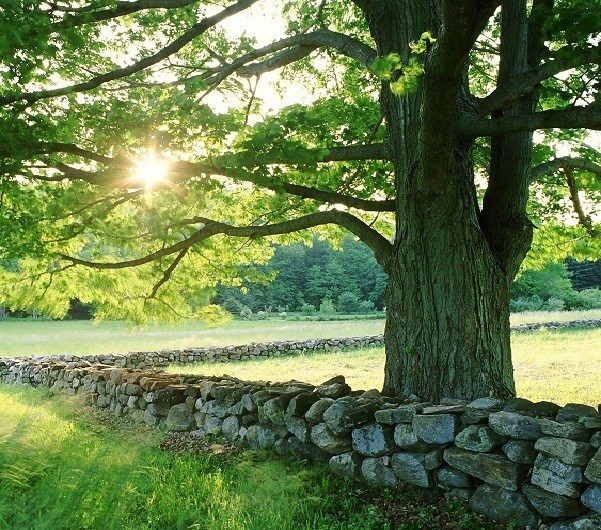 Obituary of Brian Thornton Ewing