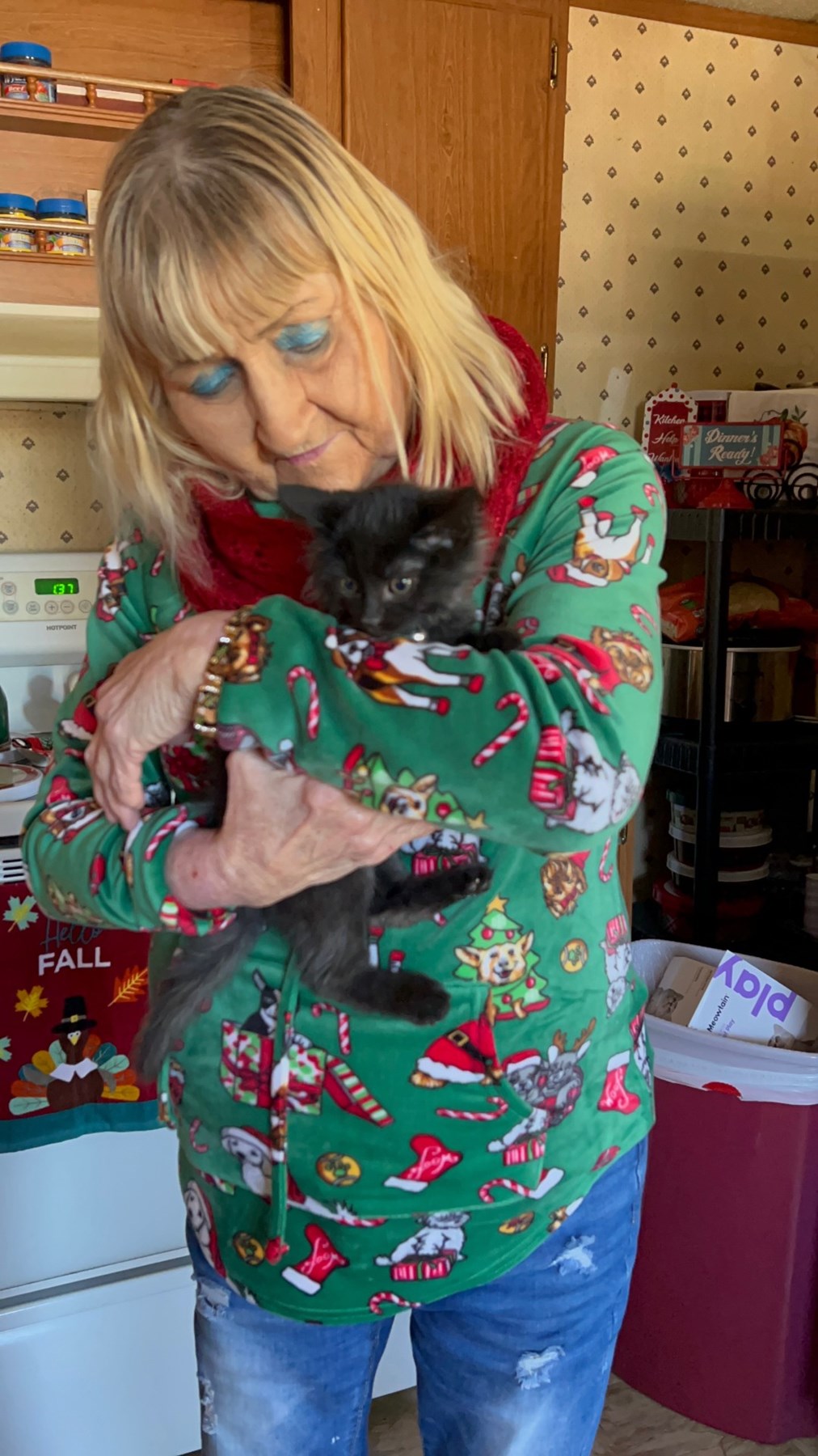 Obituary of Shirley Ann Riley