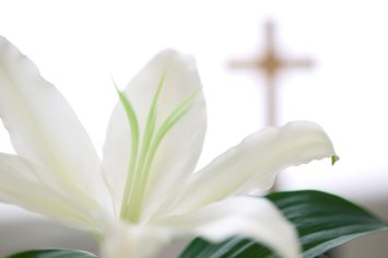 Obituary of James Brian Leatherman