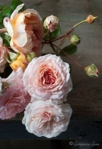Obituary of Joan Marie Loughlin
