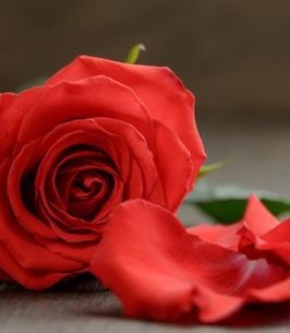 Obituary of Huguette Masliah