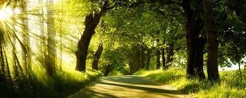 Obituary of John Daniel Peacock