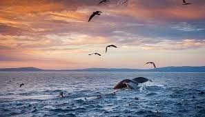 Avis de décès de Barbara Michelle Fridley