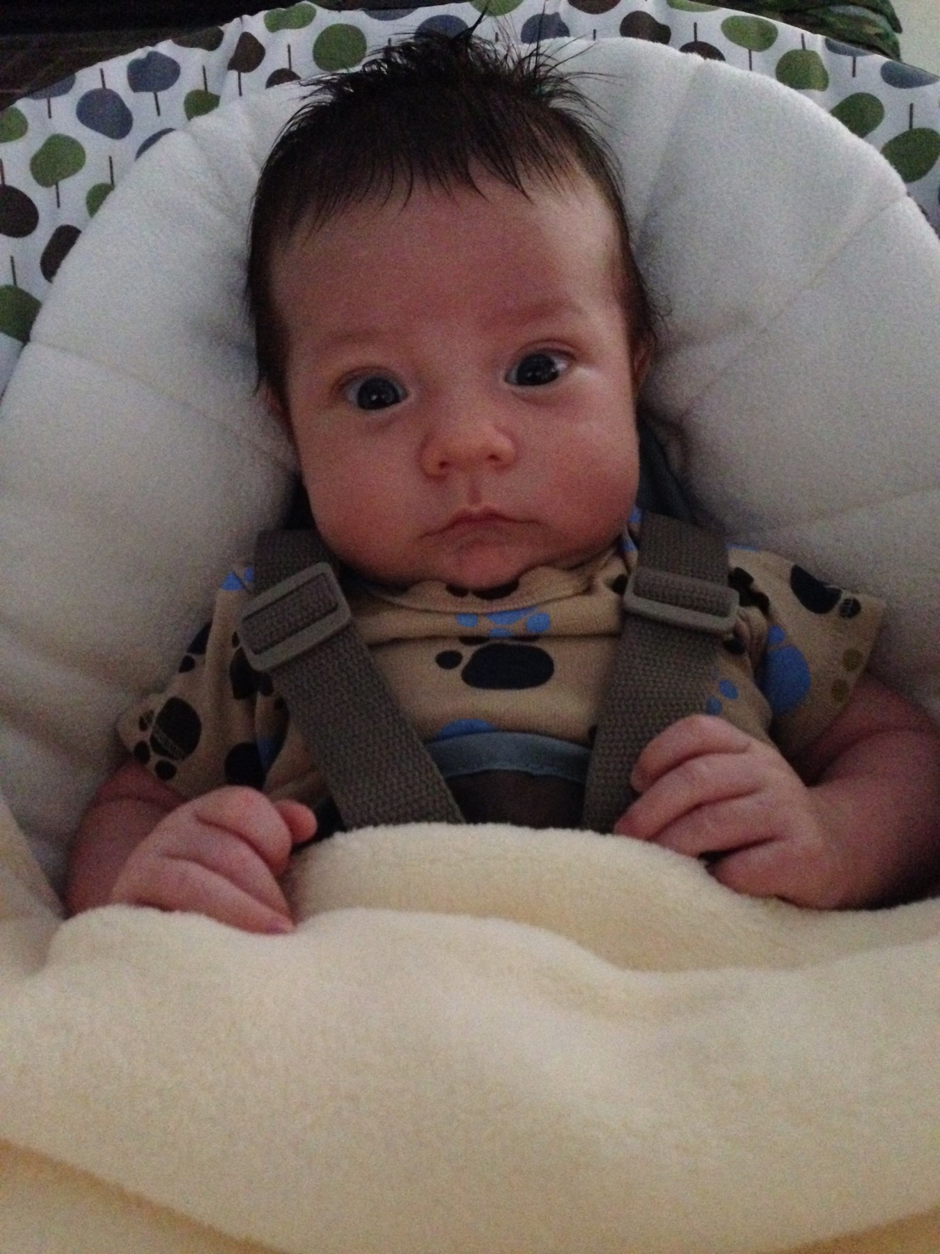 Obituary of Jaxon James Mills