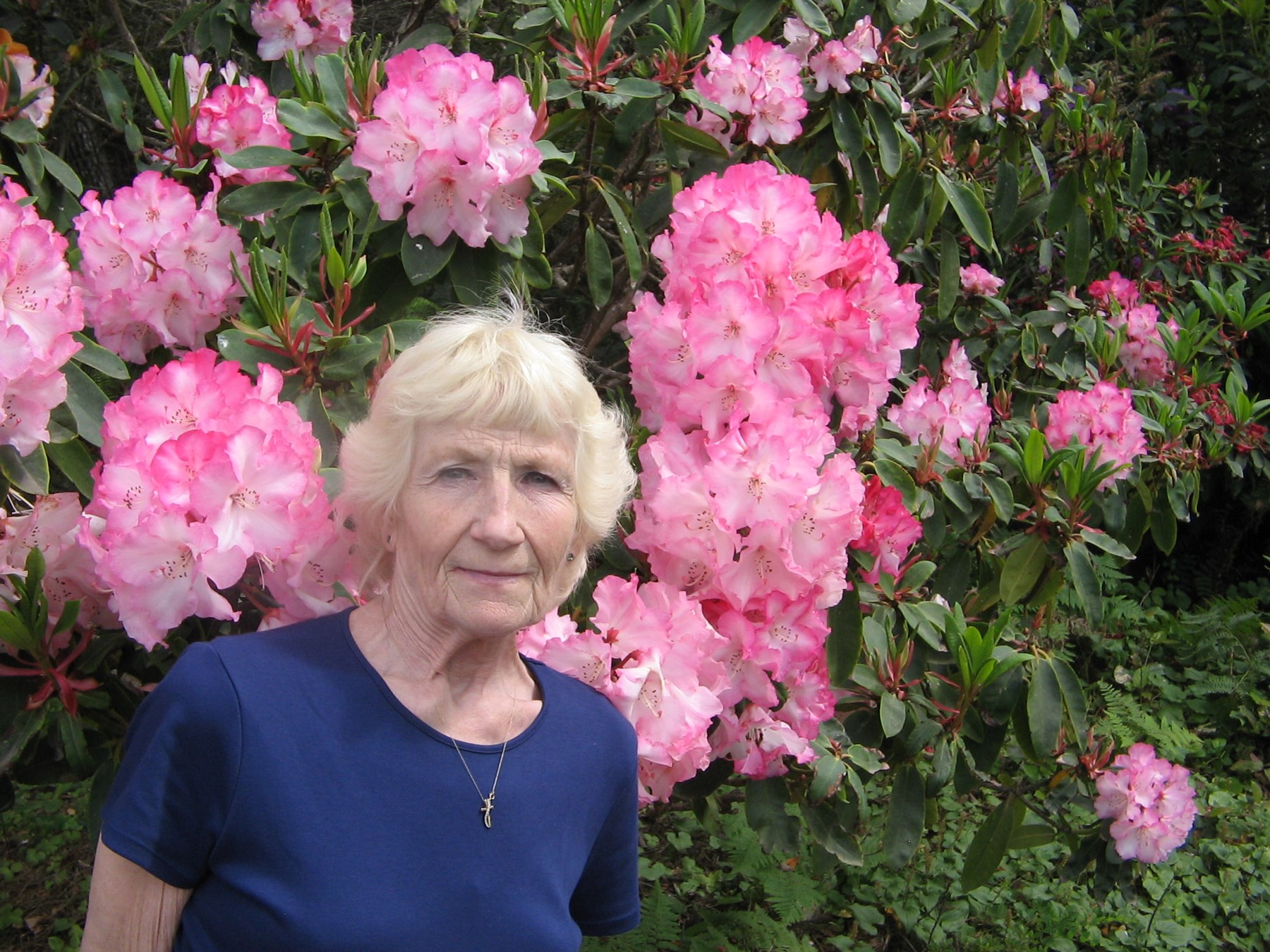 Obituary of Carolyn Jean English