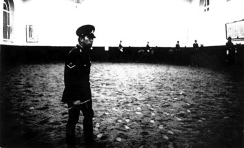 Obituary of Peter Percival McPhee