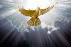 Obituary of Maria Soares