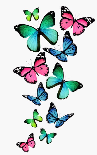 Obituary of Caroline R. Ronan